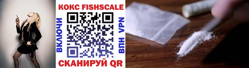 Cocaine Эквадор  OMG вход  Стародуб 