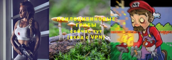 мдпв Осташков