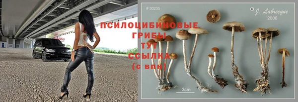 СК Осинники