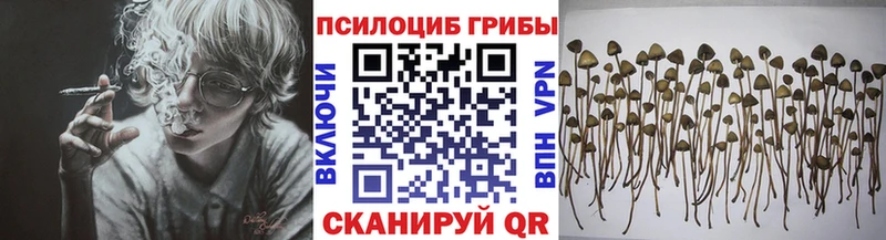Псилоцибиновые грибы GOLDEN TEACHER  хочу   Стародуб 